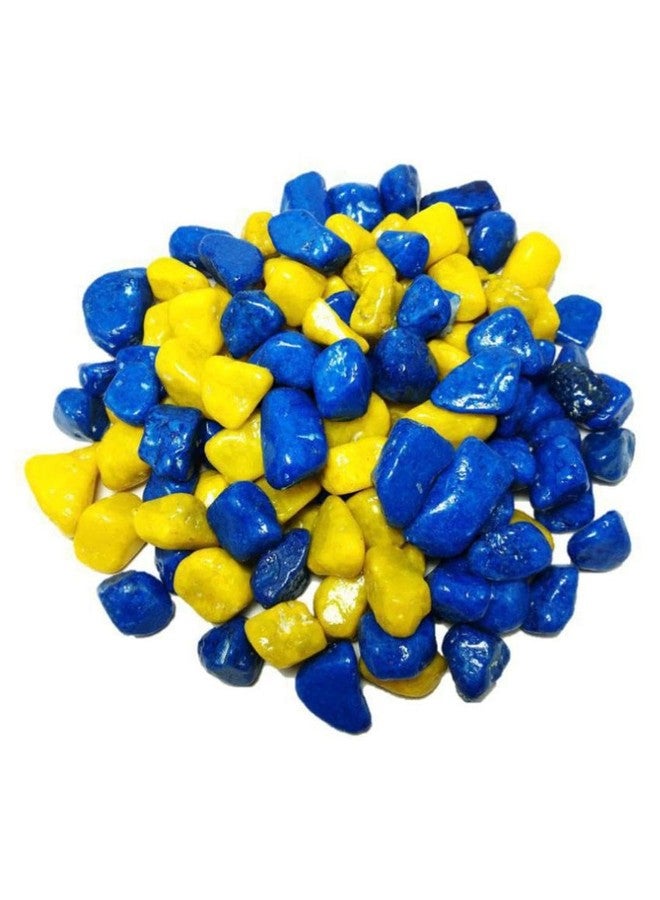 Somil Multicolor Pebbles/Stones for Garden, Plants, Lawns, Aquariums, Fish Pots, Home Decor, Vases, Furniture Filler. Size: 10-30mm, Shiny Multicolor -A668 - Image 1